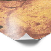 Impression Photo Belle Femme de Léonard de Vinci (Coin)