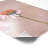 Impression Photo Belle florale Fleur Rose Clair (Coin)