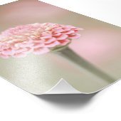 Impression Photo Belle florale Fleur Rose Clair (Coin)