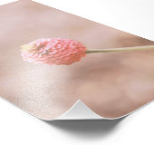 Impression Photo Belle florale Fleur Rose Clair (Coin)