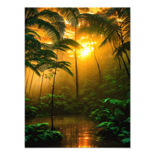 Impression Photo Belle forêt tropicale avec coucher de soleil
