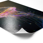 Impression Photo Belle méduse (Coin)