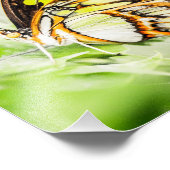 Impression Photo Belle Papillon Nature Insectes (Coin)