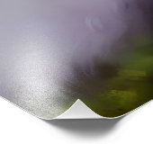 Impression Photo Belle peinture Fluffy Cat (Coin)