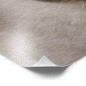 Impression Photo Belle pointe de phoque Chat siamois (Coin)