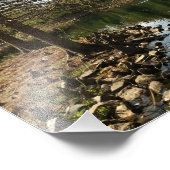 Impression Photo Belle vue sur le lac (Coin)