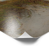 Impression Photo Belles dunes de sable à Daytona Beach, FL (Coin)