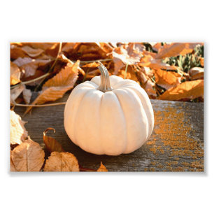 Impression Photo Belles feuilles d'automne Citrouille blanc