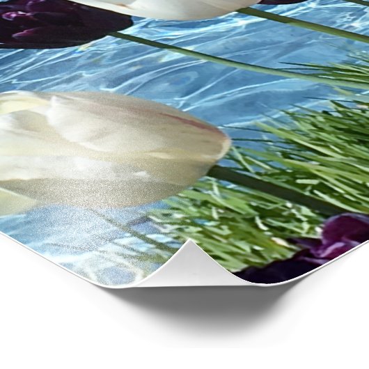 Impression Photo Belles fleurs blanches, roses et violettes (Coin)