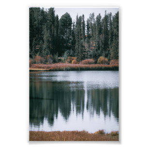 Impression Photo Belles Réflexions D'Evergreens Sur Le Lac