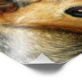 Impression Photo berger allemand (Coin)