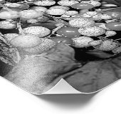 Impression Photo Berries Sauvages En Nature Noire Et Blanche 8x10 (Coin)