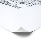 Impression Photo Beta Fish (Coin)