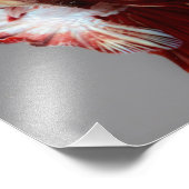 Impression Photo Betta fish (Coin)