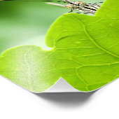 Impression Photo Beurre Drôle Peeks Au-Dessus De La Feuille (Coin)