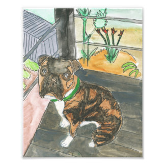 Impression Photo Bev the Pup Print