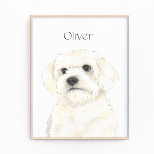 Impression Photo Bichon, Bologne, Coton, Havanais, Art maltais