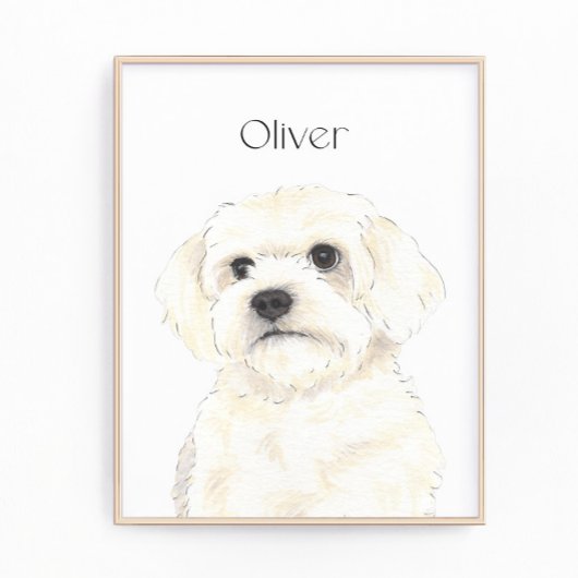 Impression Photo Bichon, Bologne, Coton, Havanais, Art maltais