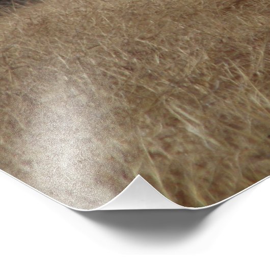 Impression Photo Big Boy 4014 (Coin)