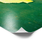 Impression Photo Big Bucks (Coin)