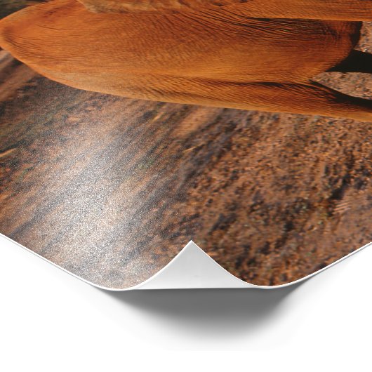 Impression Photo Big Red (Coin)