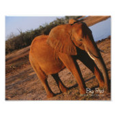 Impression Photo Big Red (Devant)