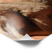 Impression Photo Bighorn Sheep (Coin)