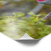 Impression Photo Bijoux 1 (Coin)