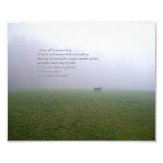 Impression Photo Bill In The Fog, une ode aux amis canins disparus
