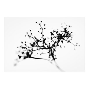 Impression Photo Biochimie de l'hiver