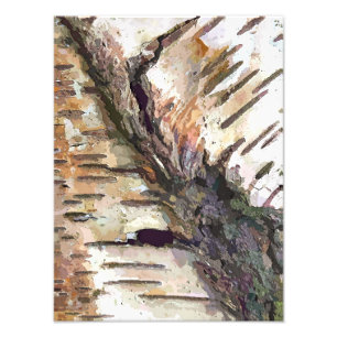IMPRESSION PHOTO BIRCH TREE