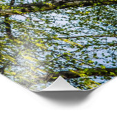 Impression Photo Birch tree - Le printemps est dans l'air (Coin)