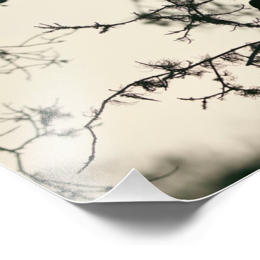 Impression Photo Bird Silhouette (Coin)