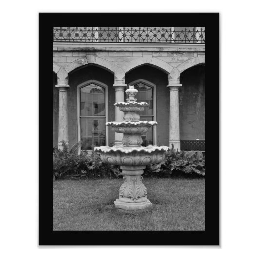 Impression Photo Birdbath (Devant)