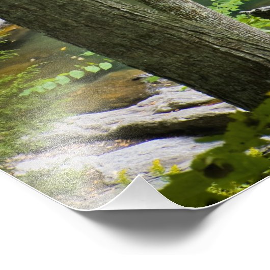 Impression Photo Bish Bash Falls in Bish Bash Falls State Park (Coin)