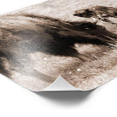 Impression Photo Bison agressif et loup noir (Coin)