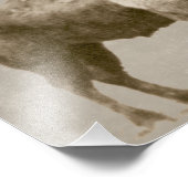 Impression Photo Bison américain (Coin)