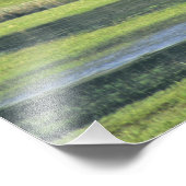 Impression Photo Bison avec veau au parc national Yellowstone (Coin)