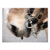 Impression Photo Bit de conduite (Devant)