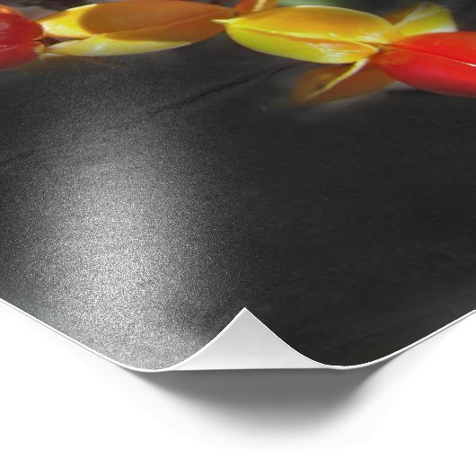 Impression Photo Bittersweet Berries - Beauté d'automne (Coin)