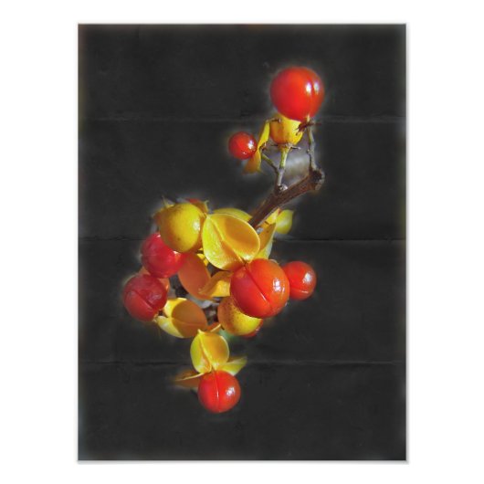 Impression Photo Bittersweet Berries - Beauté d'automne (Devant)