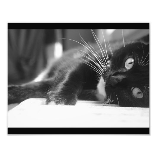 Impression Photo Black and White Cat (Devant)