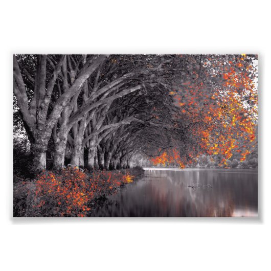 Impression Photo Black and White Trees. Reflection in a lake. (Devant)
