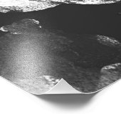 IMPRESSION PHOTO BLACK DAHLIAS (Coin)