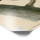 Impression Photo Black Warrior (Buse à queue rouge) d'Audubon Birds (Coin)