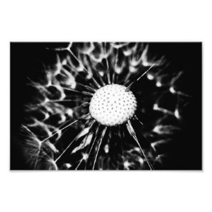 Impression Photo blacq