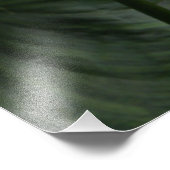 Impression Photo Blanc Calla Lily et Feuille foncé (Coin)