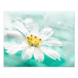 Impression Photo Blanc Fleur Bleu Etang d'eau Aqua Turquoise