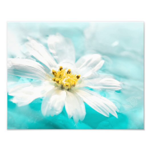 Impression Photo Blanc Fleur Bleu Etang d'eau Tropical (Devant)