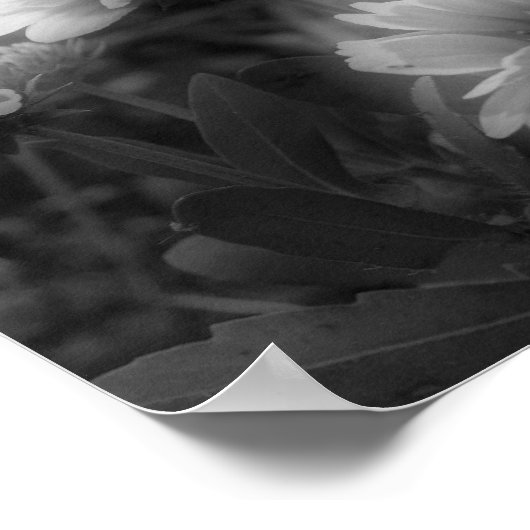 Impression photo blanche noire à fleurs (Coin)
